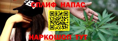 стаф Лесосибирск
