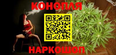стаф Лесосибирск
