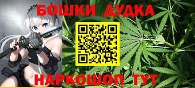 стаф Лесосибирск